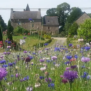 4* Couette-café Manoir De La Branche